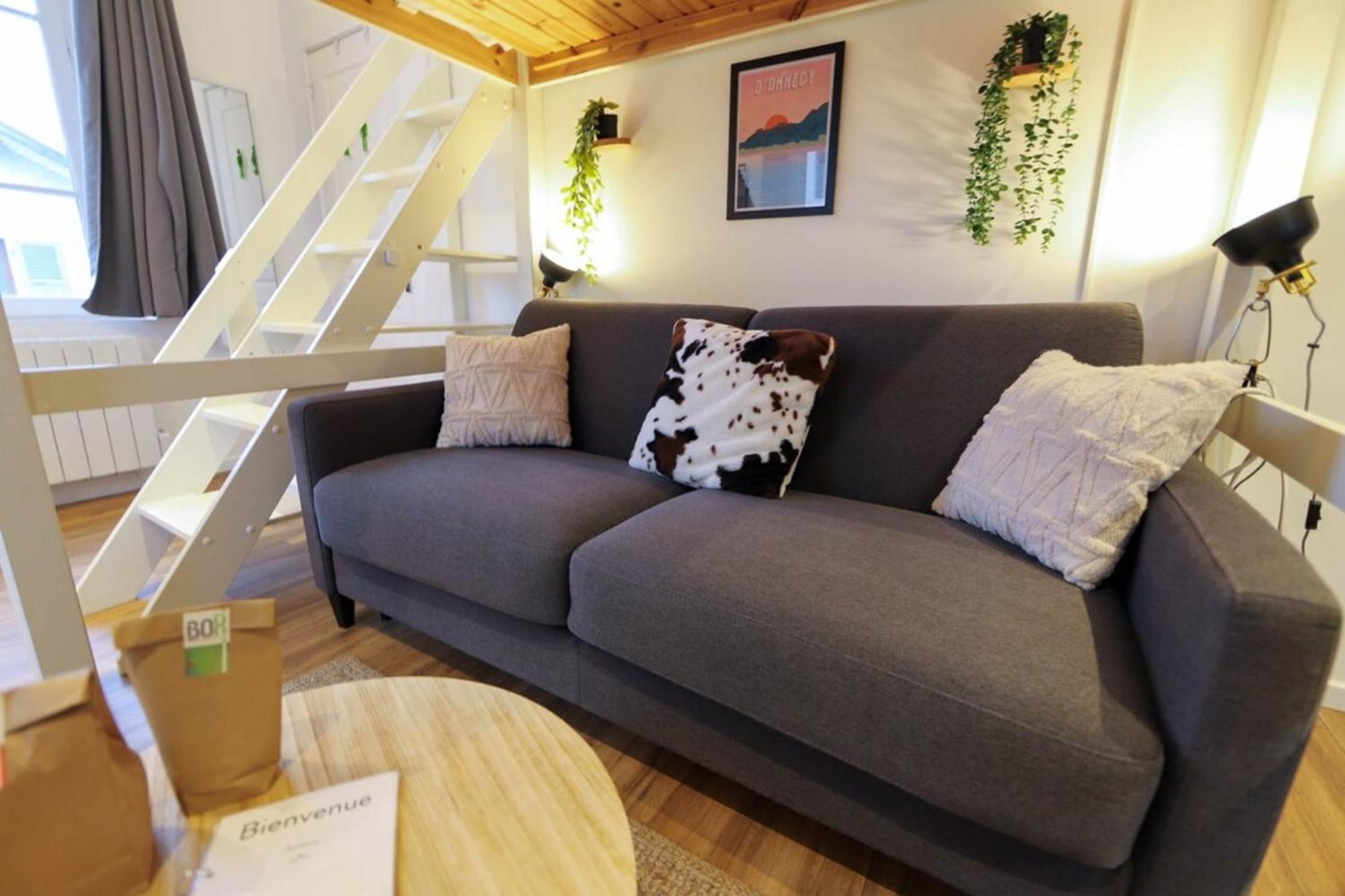 Le Petit Plus - Studio Confortable Avec Parking Lejlighed Annecy Eksteriør billede