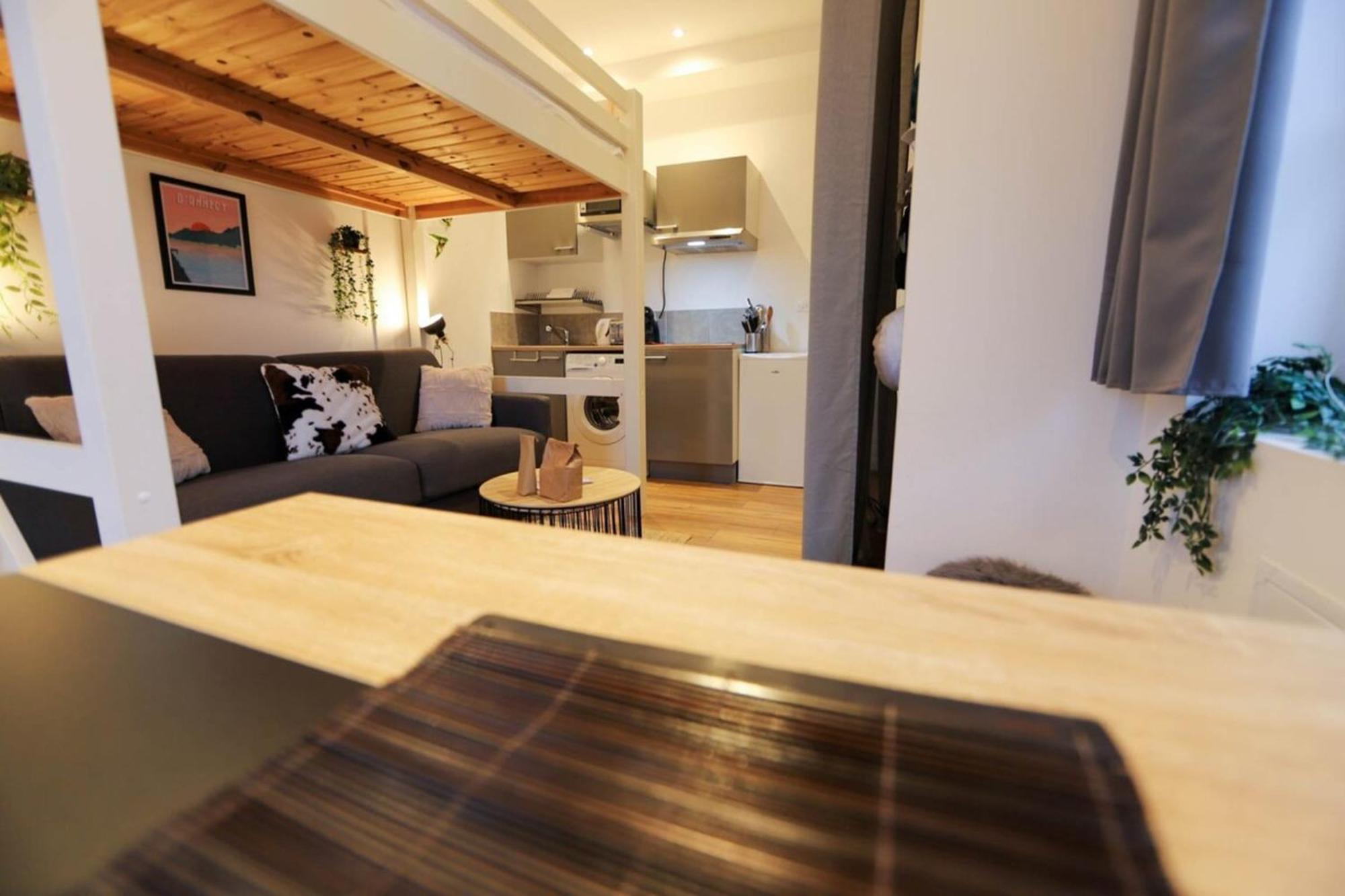 Le Petit Plus - Studio Confortable Avec Parking Lejlighed Annecy Eksteriør billede